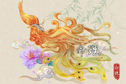 中国黄历网 黄历网 吉时吉日黄历 黄历2026年黄历书 今日黄历查询